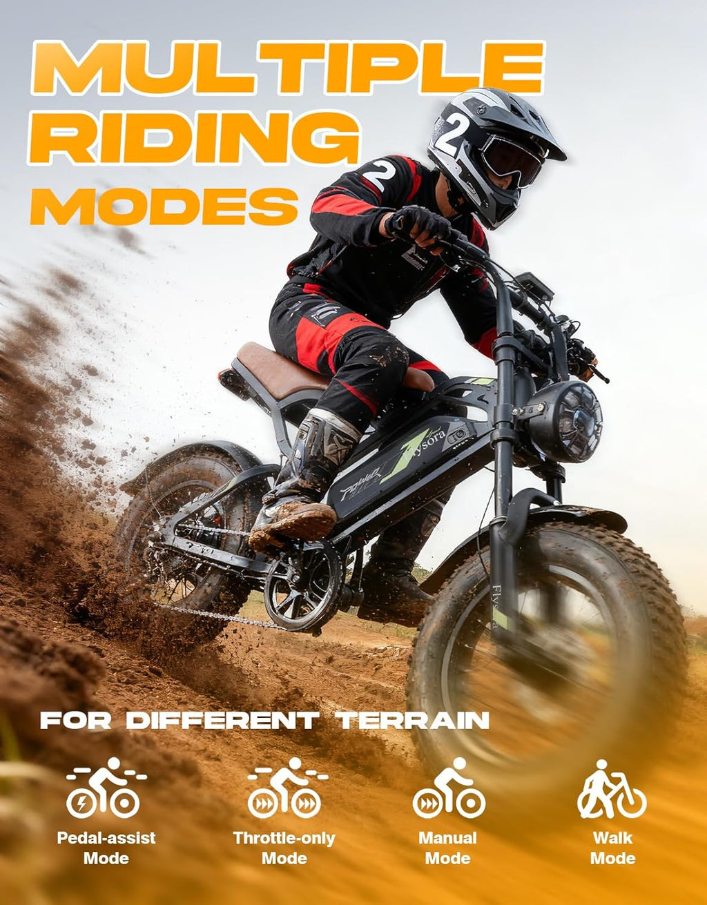 Electric Bike for Adults e300,1000W Peak Motor ebikes