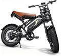 Electric Bike for Adults e300,1000W Peak Motor ebikes