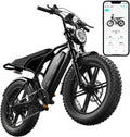 TST Electric Bike for Adults 1500W Peak 20" Fat Tire All-Terrain E-Bike