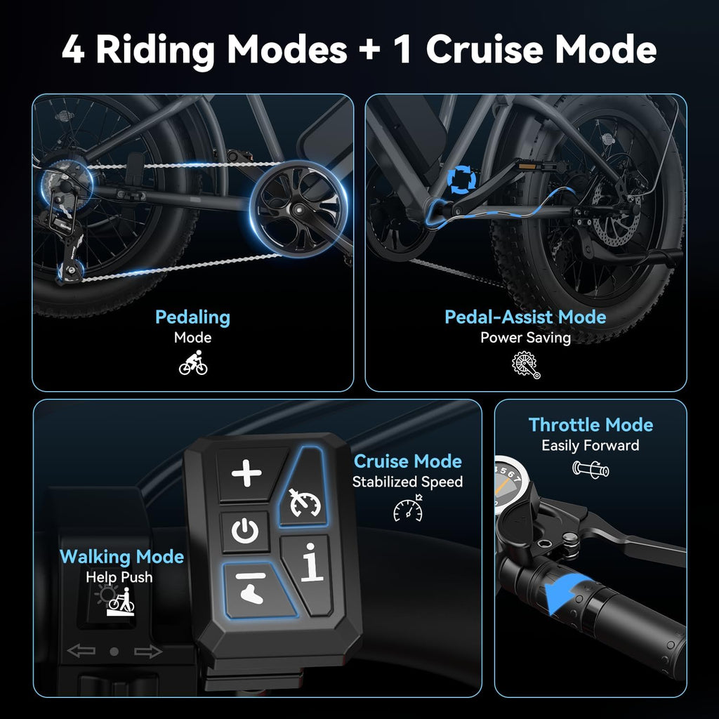 Jasion RetroVolt Electric Bike for Adults