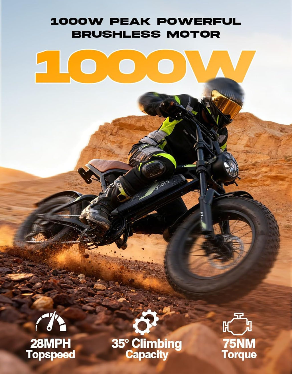 Electric Bike for Adults e300,1000W Peak Motor ebikes