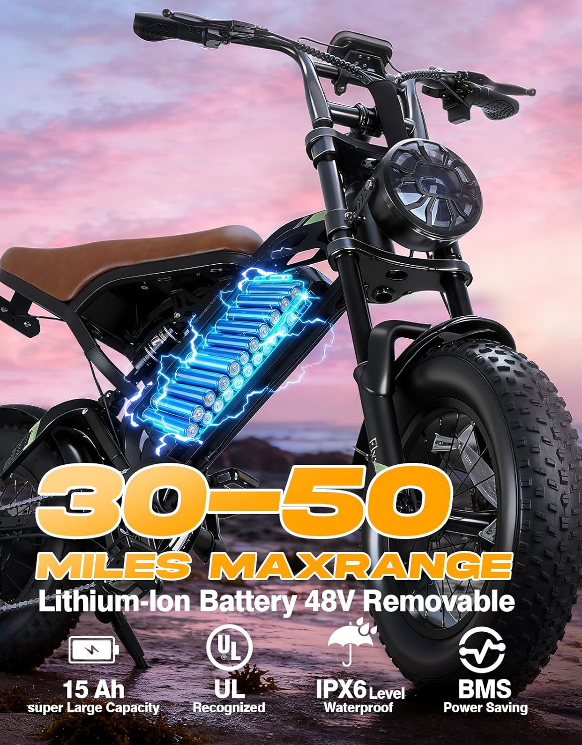 Electric Bike for Adults e300,1000W Peak Motor ebikes